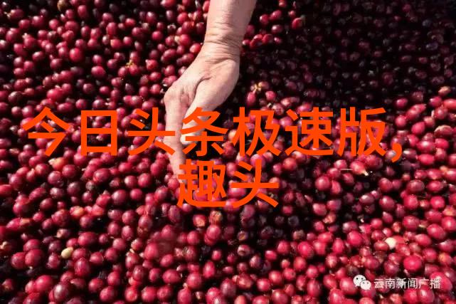 如何捕捉瞬间的美解锁好的写真摄影的秘密