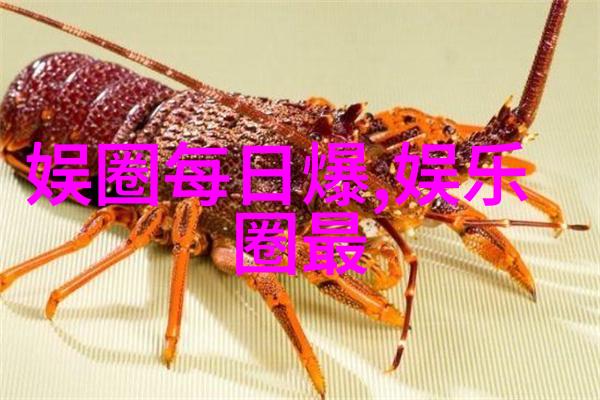 云音乐网页版首页我是你的歌曲指南