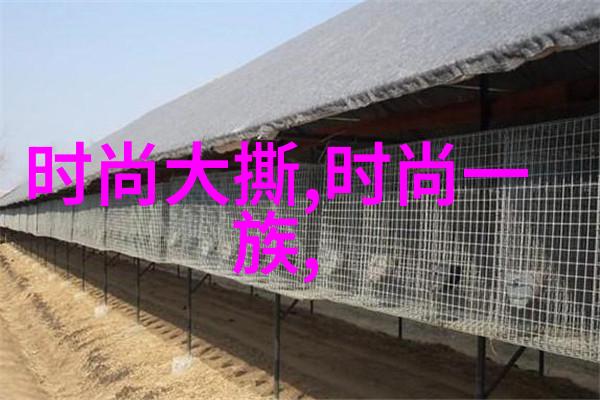 文化内涵与审视不同国家和地区的传统女性肖像
