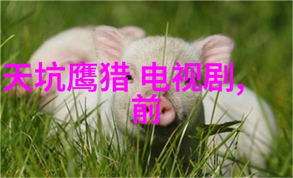 隐喻的光影艺术照中的个人写真与祼照探索