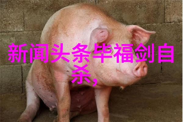 5144数字的谜底与文化的编织