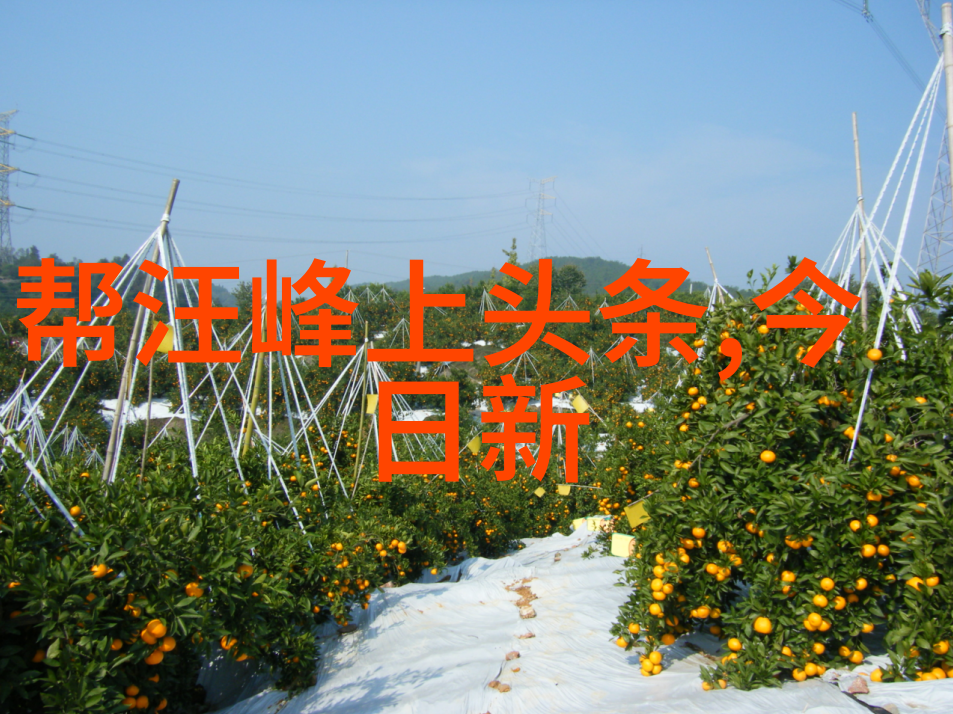 探秘影视工场背后的制作魔力