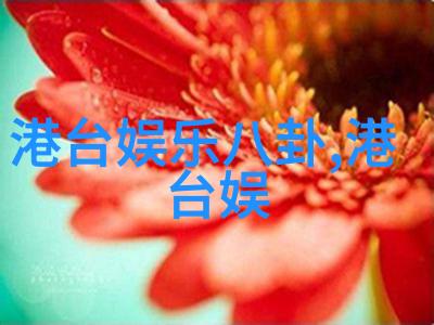 31岁何洁与25岁胡冰卿同台差异显著身高落差亦相当大