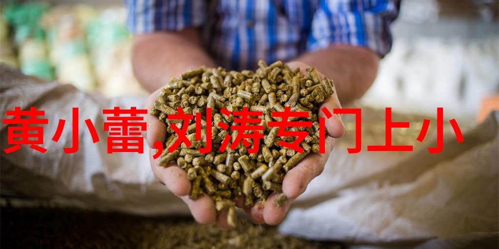 韩国娱乐新闻王子慧明日之子大牛和王子慧是不是双胞胎姐妹