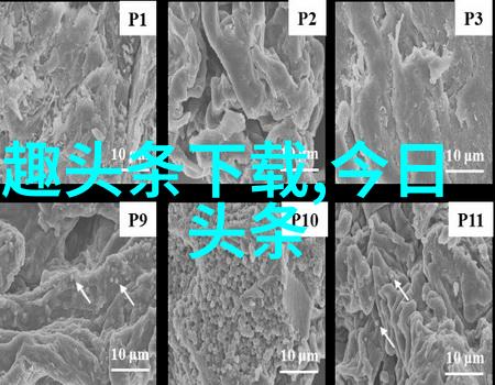 星辰下的影踪天狼影视的传奇征程
