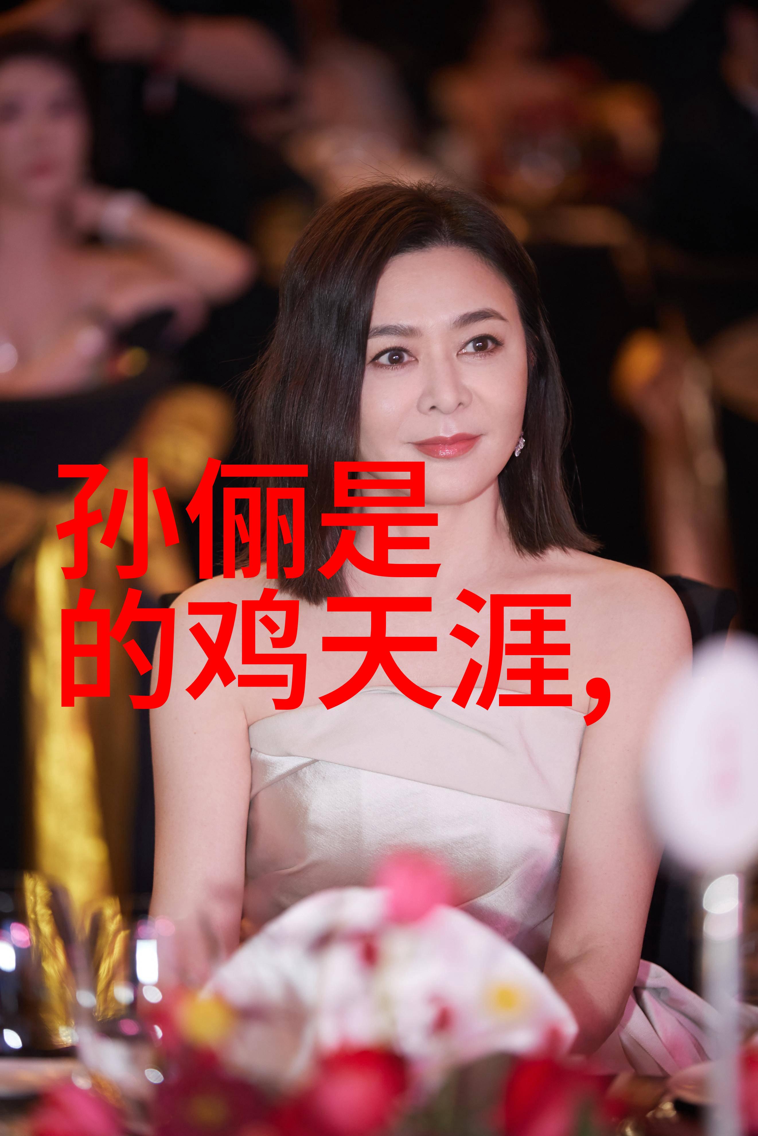 高圆圆为何被称作炮台影视作品中的形象与粉丝文化背后的原因分析