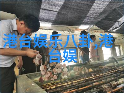 许嵩十年不变的音乐承诺新专辑首单雅俗共赏将入世展现音乐世界中的雅致与流行融合