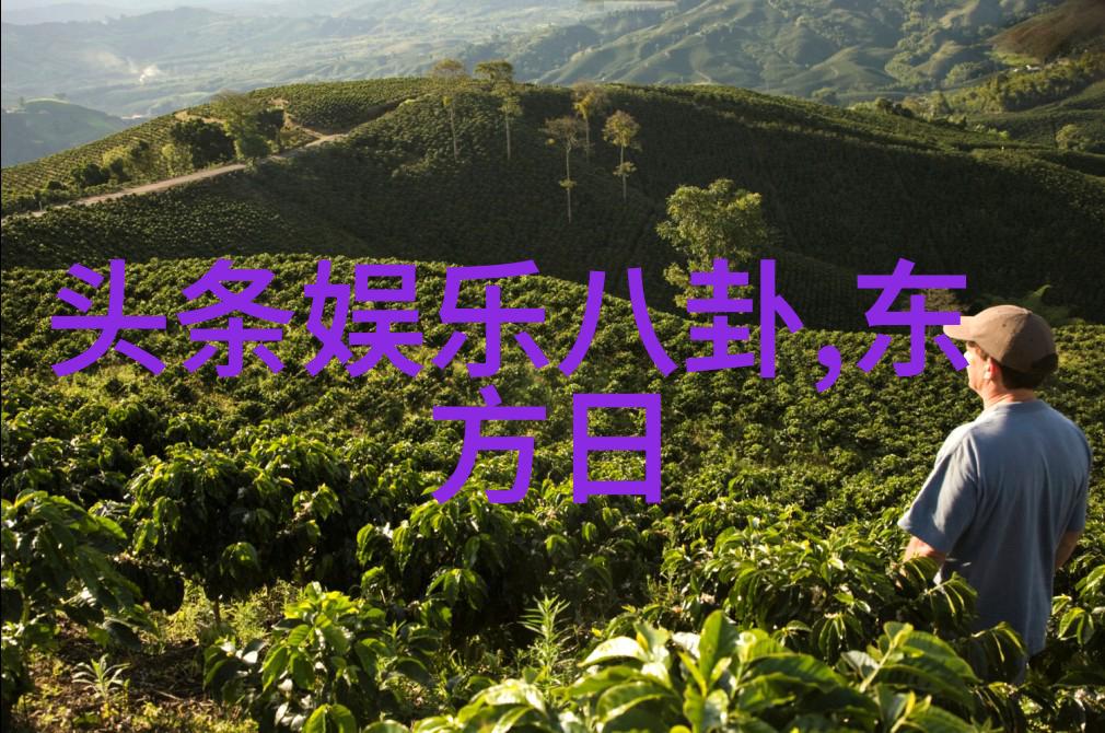 解析后天八卦图口诀顺序揭秘古代占卜术的精髓