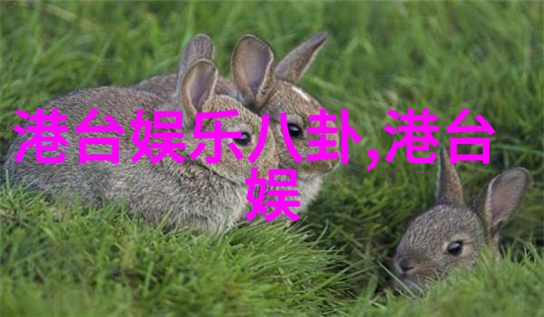 时尚女神的秘籍精选女装搭配技巧与趋势