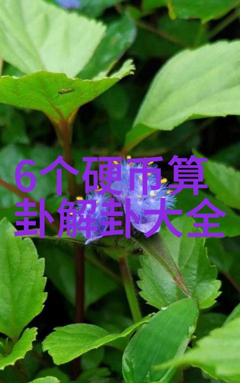 韩国电影中的表妹形象家族爱情与文化的复杂编织