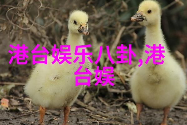 平局的魅力3比3对决中的策略与艺术