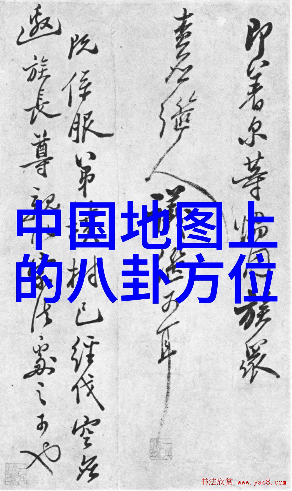 美丽无价探索网络上的精美免费图片资源