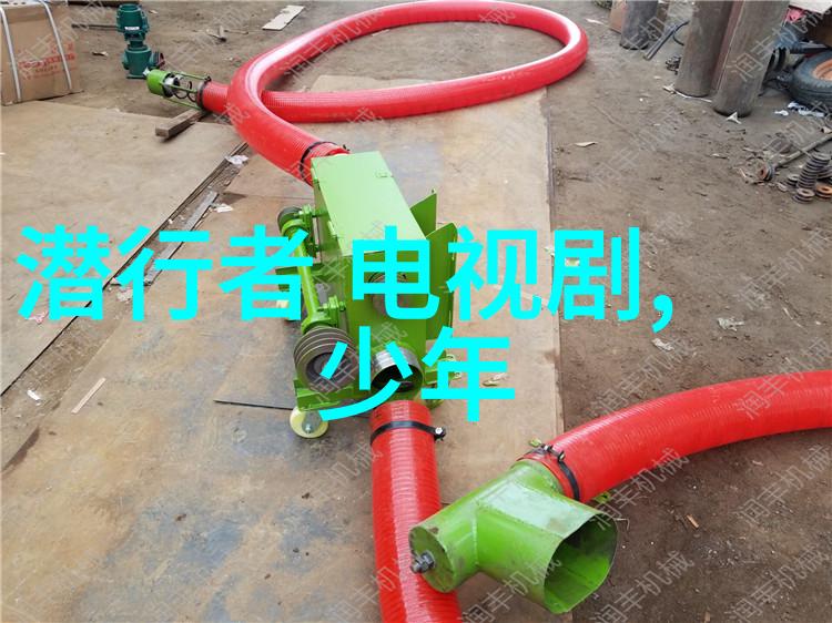 杨紫照相机前的少女梦与成长故事