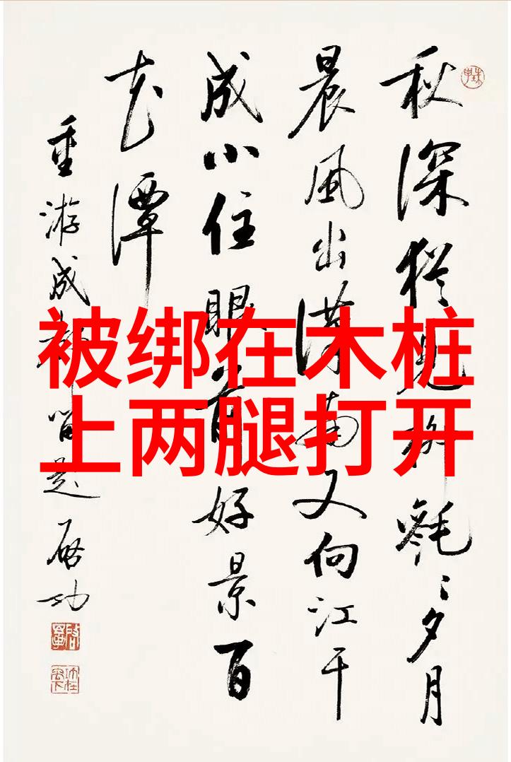 隐形使者伪装者的游戏