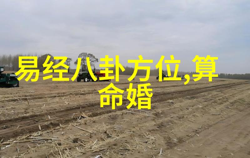 遇见你真好综艺-笑声与温暖探索遇见你真好综艺的魔力