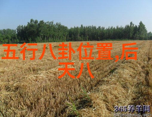 你认为未来十年影视行业将如何发展以及这对影视频道会产生什么样的影响呢