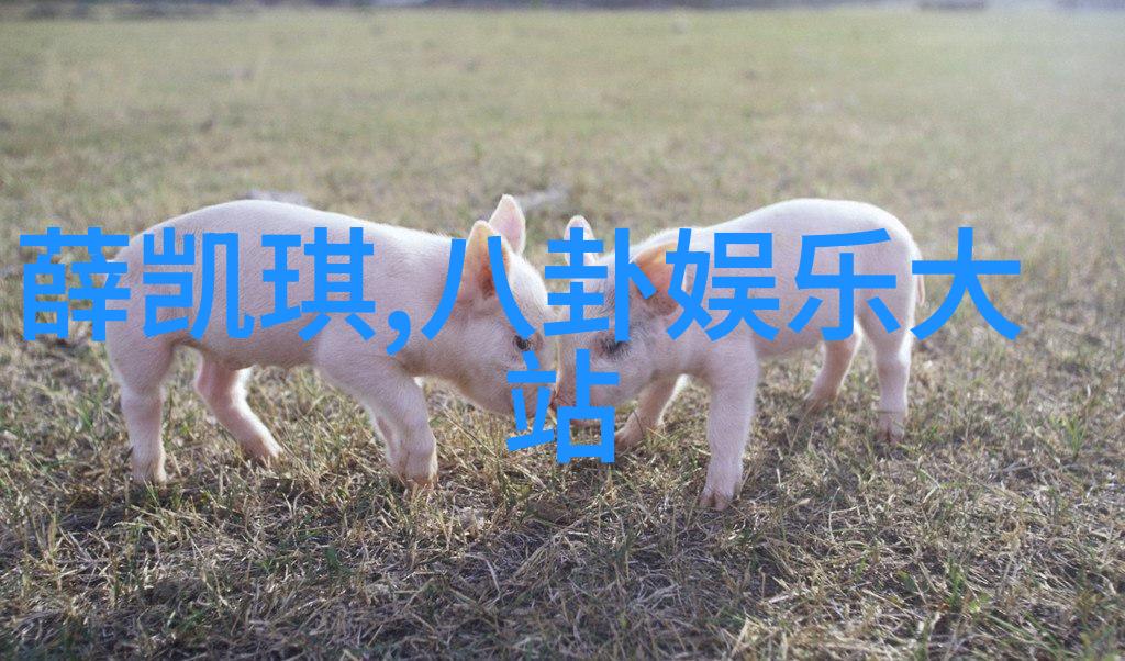 全员加速中 综艺节目娱乐圈明星的竞技挑战