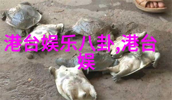 大师兄影视剧官网大师兄影视剧全集下载