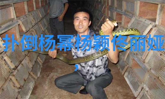 花季V3.0.2黄破解版青春不再是秘密快乐不再是代价