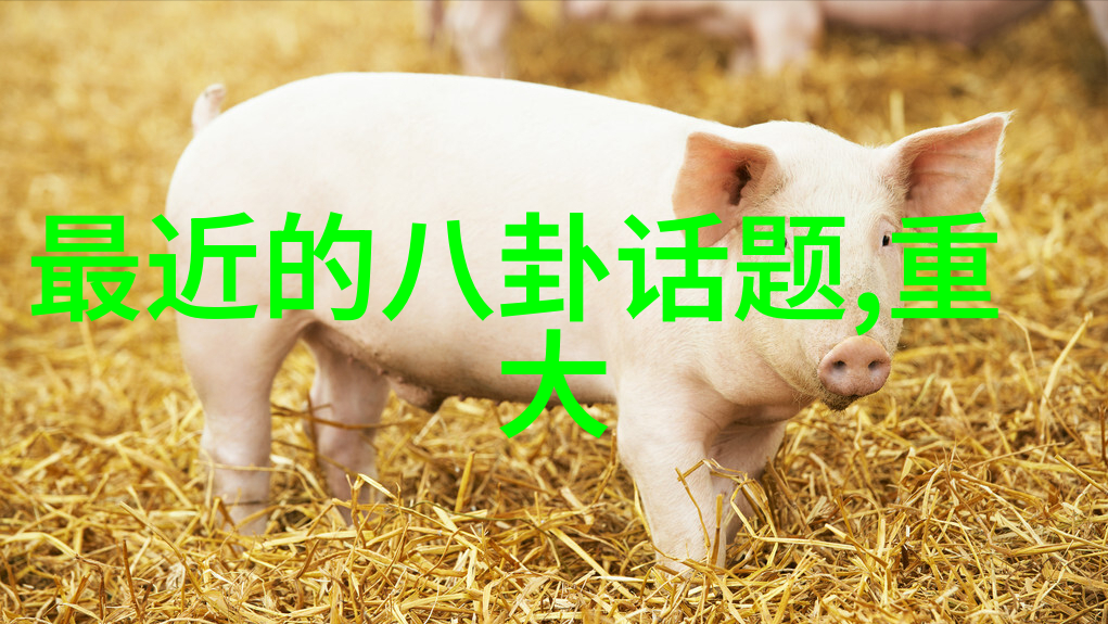 从零到英雄的成长历程