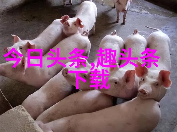 深夜的舞台娱乐场所背后的秘密