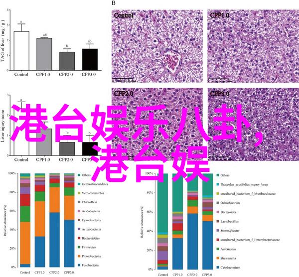 魅影视频高质量动漫视频