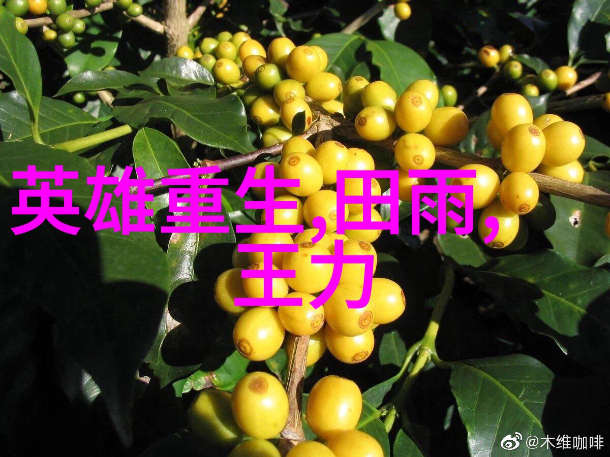 影视明星谭卓披露新封面青砖红唇尽显繁华之美