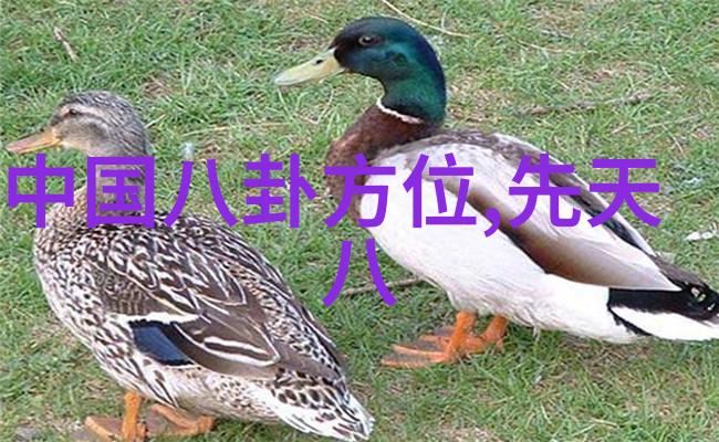 色彩纷飞的画卷好看又免费的图片素材
