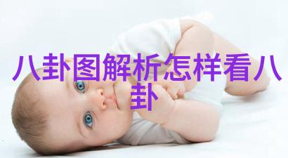 鸡类营养-1份鸡吃10个鸡爪揭秘家禽的五脏六腑