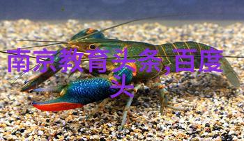 花姐影视的余生两部古偶神作名归如潮长尾效应彰显其传奇魅力