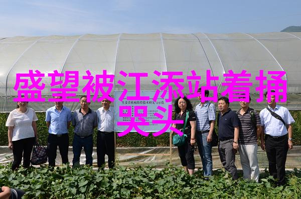 角落娱乐-隐秘之境中的乐趣探索