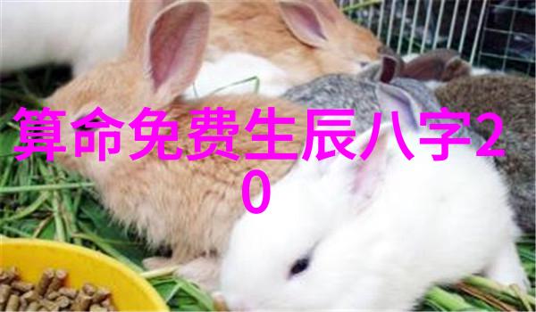 一路朝阳定档央八王阳李兰迪主演女性剧若真实必爆款台海动态最新消息视频揭秘物品背后的故事