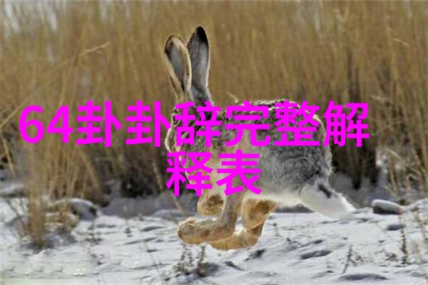 探究最好看中文字幕国语电影的审美魅力从影像艺术到文化传承