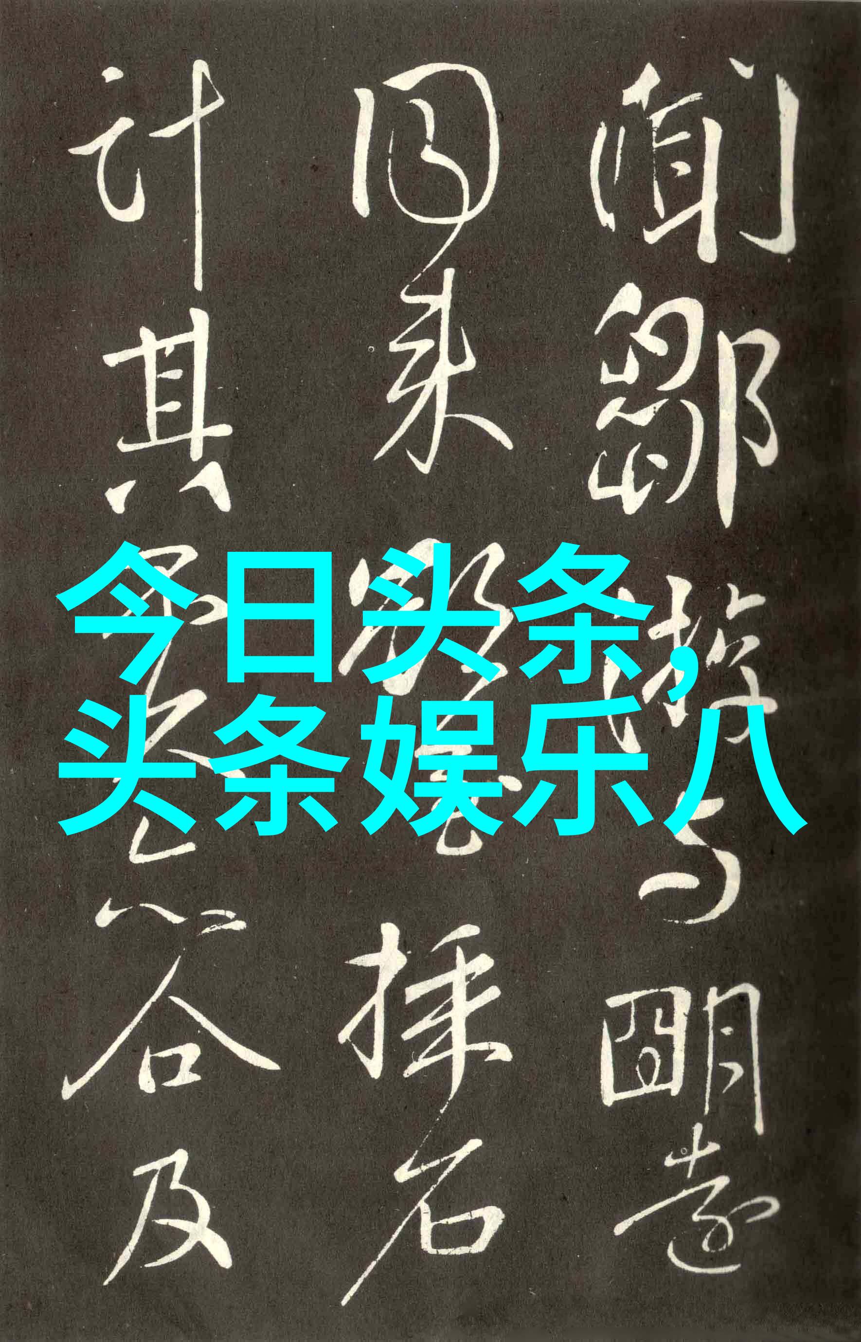 燃烧的舞台最新综艺节目竞技新篇章
