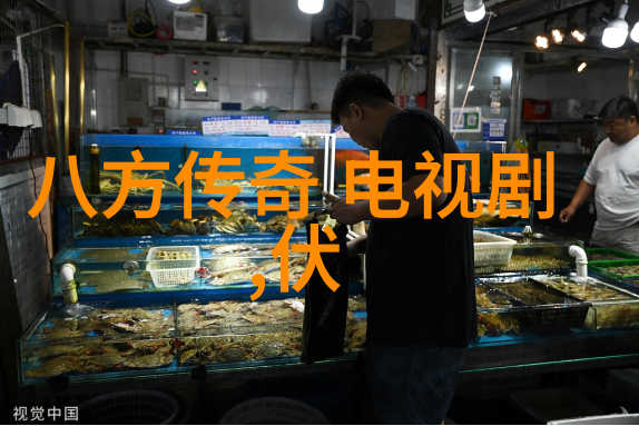 影光交织八一影视的反差之舞