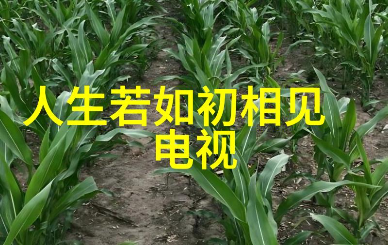 中共军演威慑下 台湾紧急警告大陆勿跨越海峡中线
