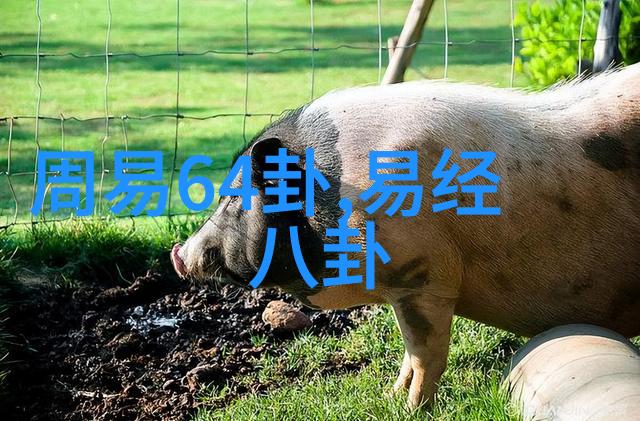 娱乐圈-银河娱乐集团星辰大海中的娱乐帝国