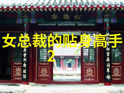 收规华电视剧民国时期的官场斗争与爱情故事