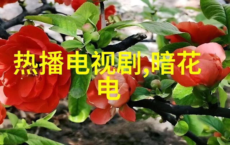 黄晓明与宝贝的旅行故事探索世界的一路美好