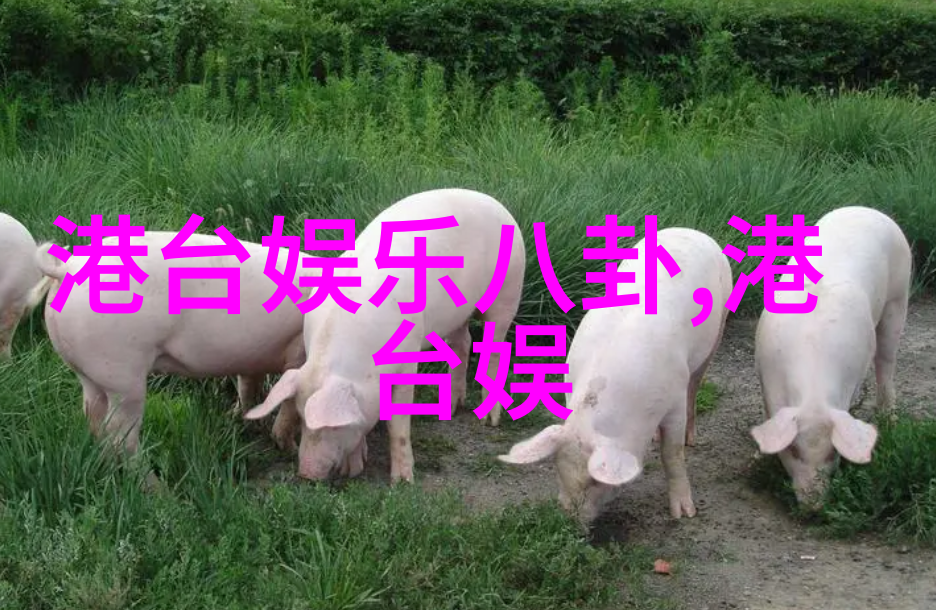 银幕上的盛宴火爆电影的奇迹之旅
