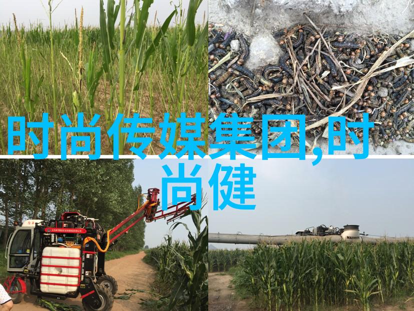 绿意盎然探索自然界中最迷人的植被风光