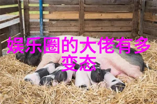 陈镜的时尚写真静谧美好在光影中绽放