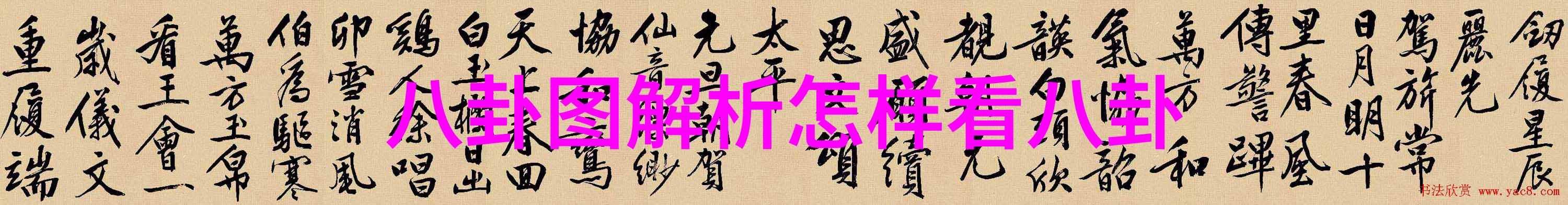镜头下的秘密探索美女写真背后的故事