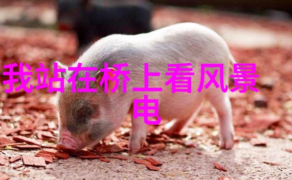 变形金刚机甲大战的纪元