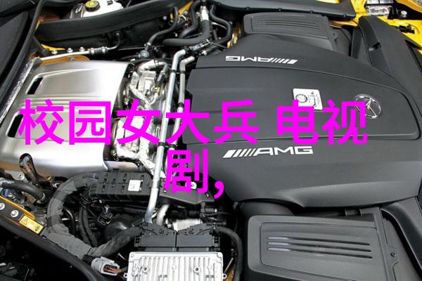 人才培养与教育体系大陆集团的人才开发计划概述