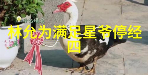 人生感悟每一刻都是心灵的涂鸦