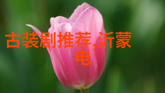 娘道揭开一代女性的故事之窗
