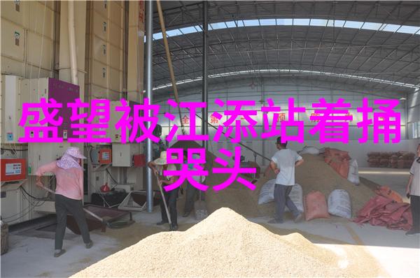 智慧风云综艺3国智的精彩瞬间