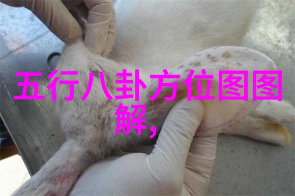 徐帆养女正面照曝光17313物品背后的秘密徐朵几岁了为何两人不亲授孕的原因曝光