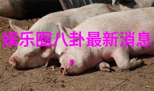 容祖儿飞往美国进修舞艺预告个人演唱会点亮社会文化风潮抖音十大神曲引领时代旋律